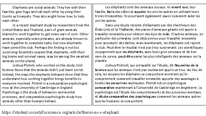 Elephants are social animals. They live with their families, give hugs and call each