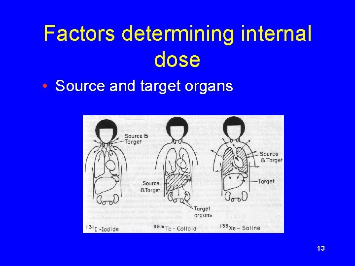 Factors determining internal dose • Source and target organs 13 