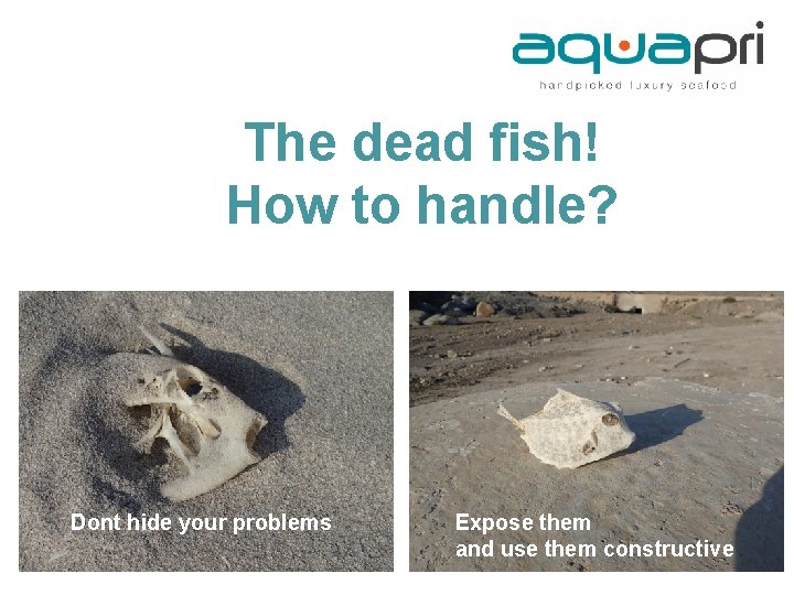 The dead fish! How to handle? Dont hide your problems Expose them and use