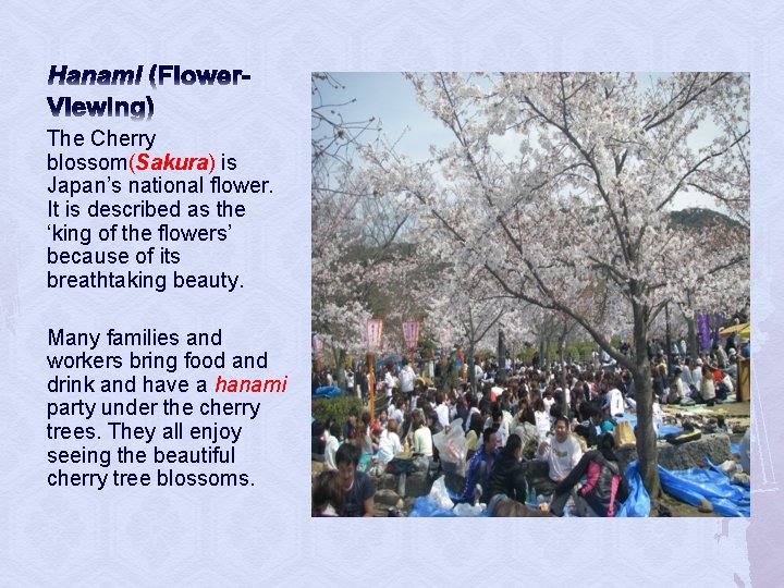 Hanami (Flower. Viewing) The Cherry blossom(Sakura) is Japan’s national flower. It is described as