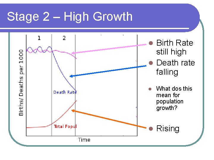 Stage 2 – High Growth Birth Rate still high l Death rate falling l