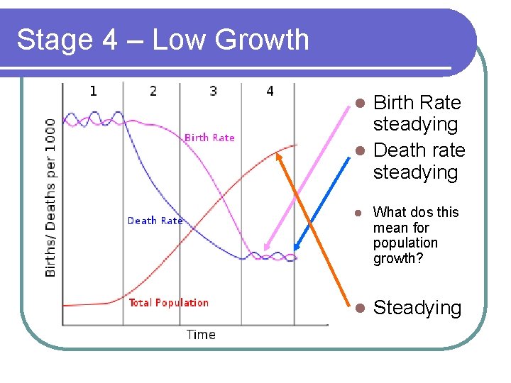 Stage 4 – Low Growth Birth Rate steadying l Death rate steadying l l