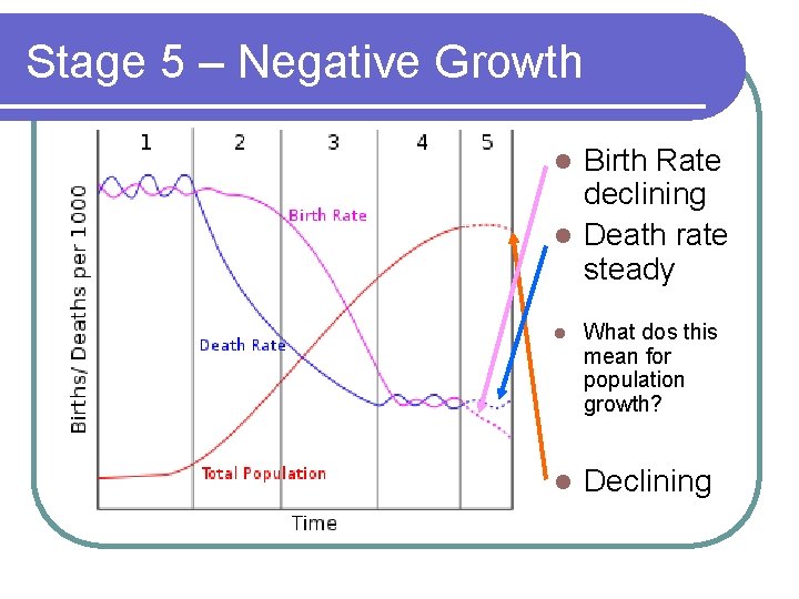 Stage 5 – Negative Growth Birth Rate declining l Death rate steady l l
