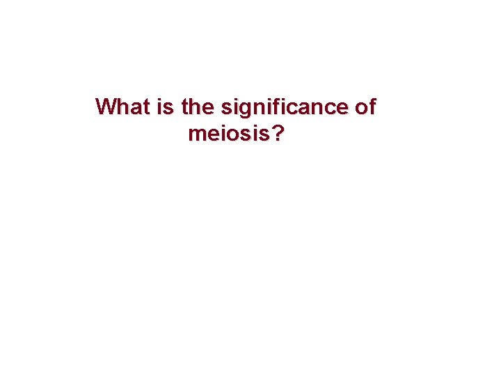 What is the significance of meiosis? 