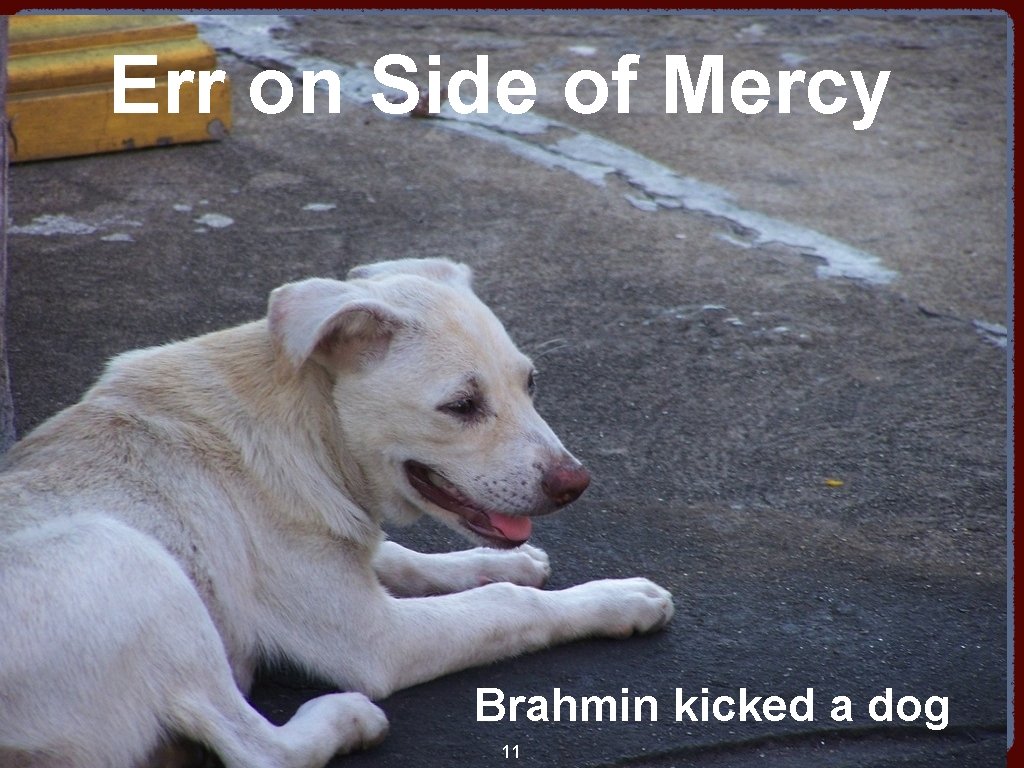 Err on Side of Mercy Brahmin kicked a dog 11 