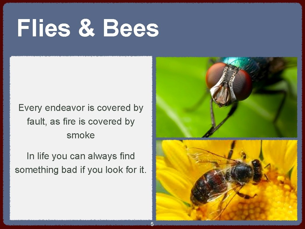 Flies & Bees Every endeavor is covered by fault, as fire is covered by