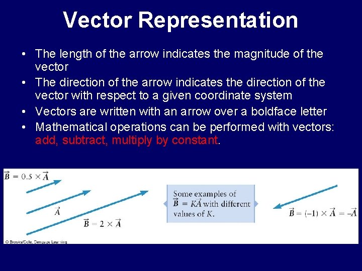 Vector Representation • The length of the arrow indicates the magnitude of the vector
