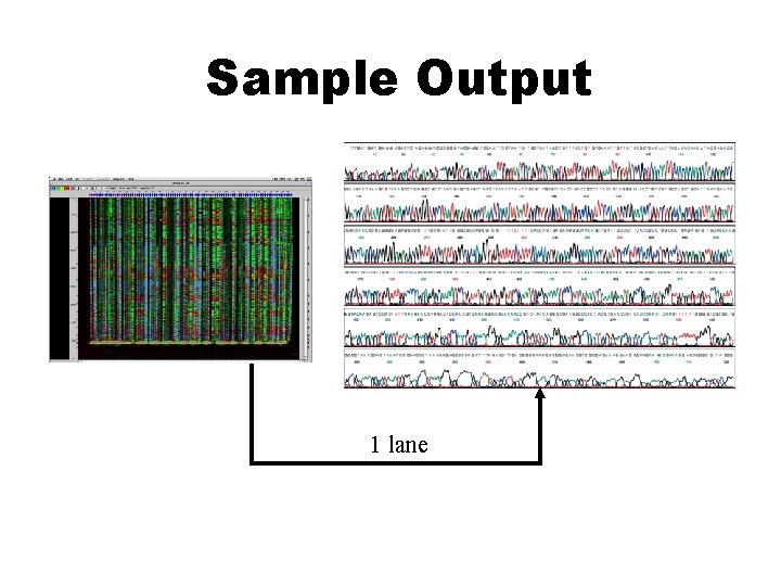 Sample Output 1 lane 