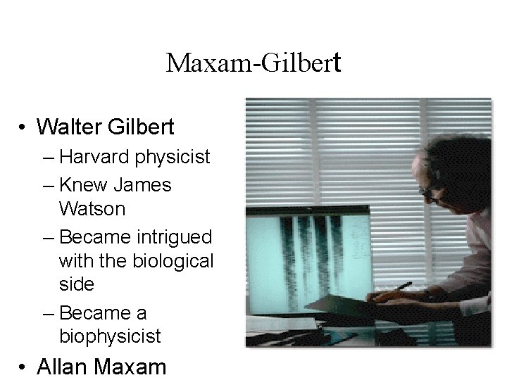 Maxam-Gilbert • Walter Gilbert – Harvard physicist – Knew James Watson – Became intrigued