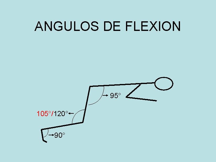 ANGULOS DE FLEXION 95° 105°/120° 90° 