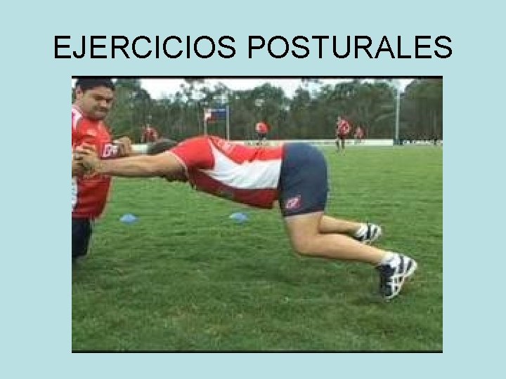 EJERCICIOS POSTURALES 