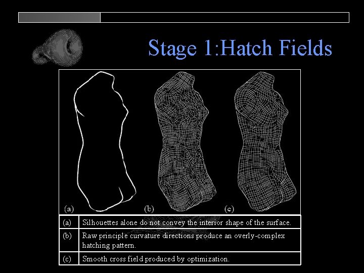 Stage 1: Hatch Fields (a) Silhouettes alone do not convey the interior shape of