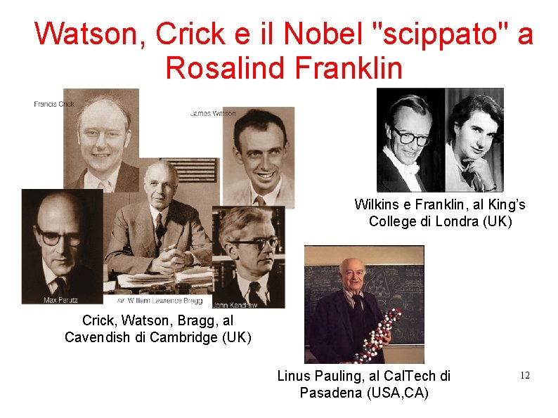 Watson, Crick e il Nobel "scippato" a Rosalind Franklin Wilkins e Franklin, al King’s