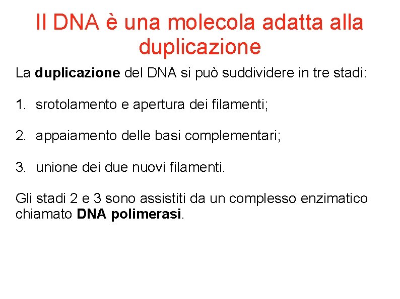 Il DNA è una molecola adatta alla duplicazione La duplicazione del DNA si può
