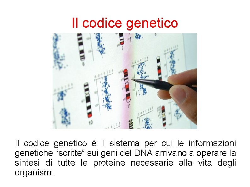 Il codice genetico è il sistema per cui le informazioni genetiche “scritte” sui geni