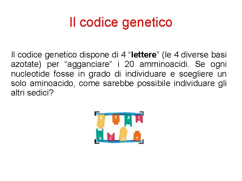Il codice genetico dispone di 4 “lettere” (le 4 diverse basi azotate) per “agganciare”