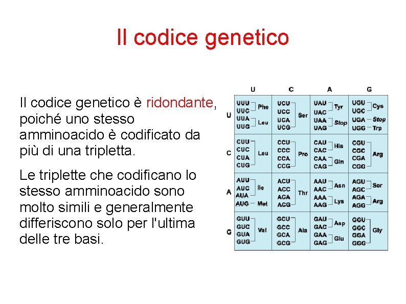 Il codice genetico è ridondante, poiché uno stesso amminoacido è codificato da più di