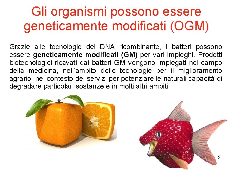 Gli organismi possono essere geneticamente modificati (OGM) Grazie alle tecnologie del DNA ricombinante, i