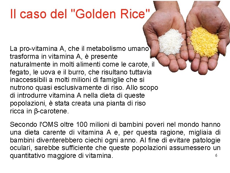 Il caso del "Golden Rice" La pro-vitamina A, che il metabolismo umano trasforma in