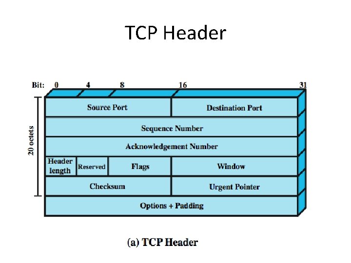 TCP Header 