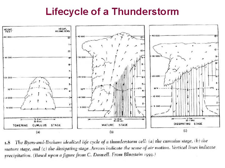 Lifecycle of a Thunderstorm 