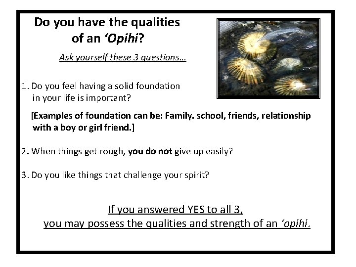 Do you have the qualities of an ‘Opihi? Ask yourself these 3 questions… 1.