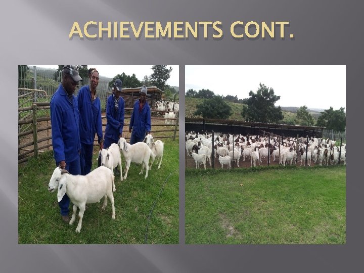 ACHIEVEMENTS CONT. 