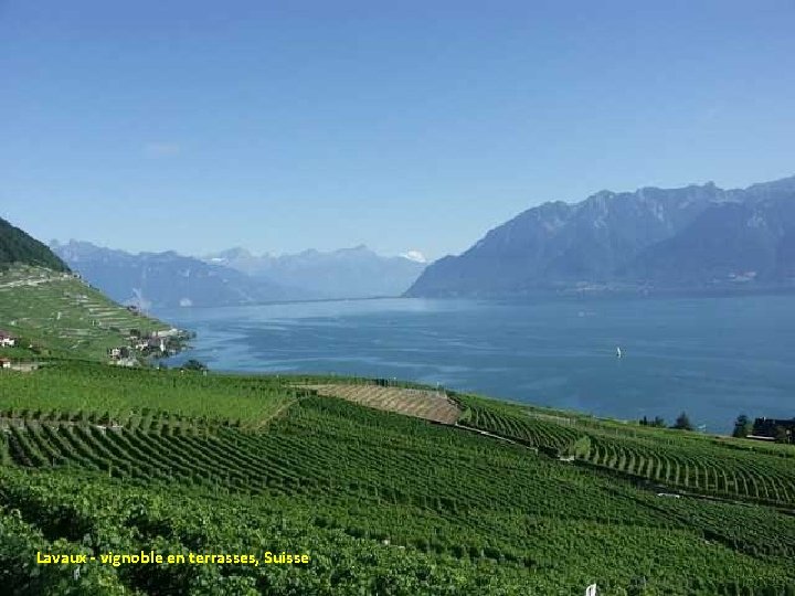 Lavaux - vignoble en terrasses, Suisse 
