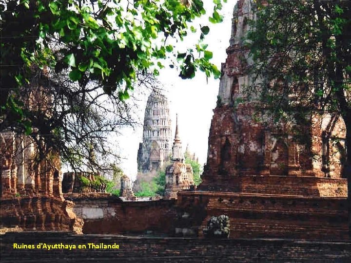 Ruines d'Ayutthaya en Thailande 