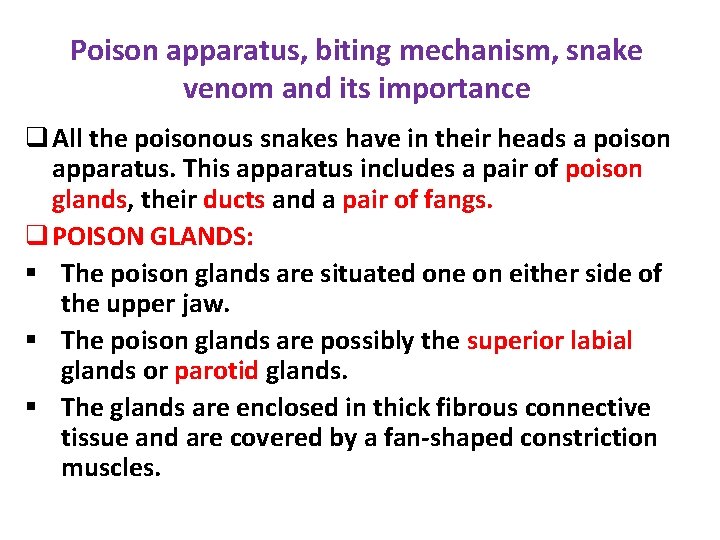 Poison apparatus, biting mechanism, snake venom and its importance q All the poisonous snakes