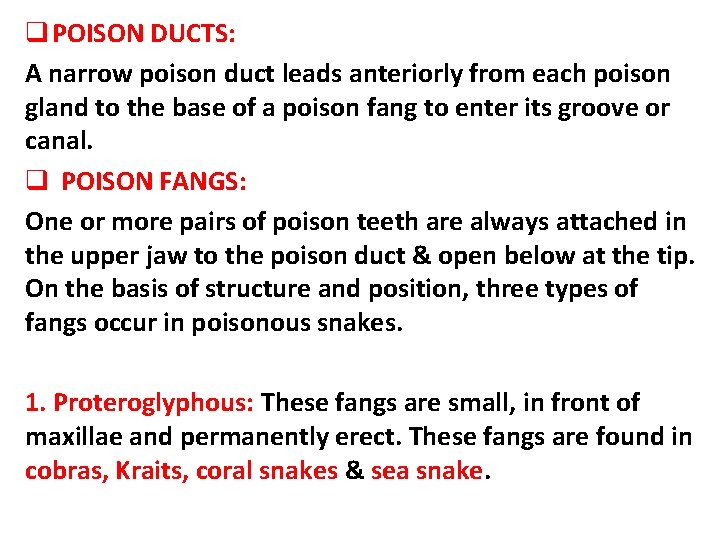 q POISON DUCTS: A narrow poison duct leads anteriorly from each poison gland to