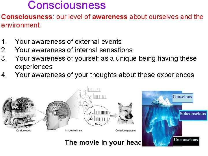 Consciousness: our level of awareness about ourselves and the environment. 1. 2. 3. 4.