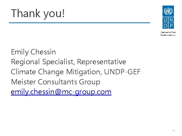 Thank you! Emily Chessin Regional Specialist, Representative Climate Change Mitigation, UNDP-GEF Meister Consultants Group