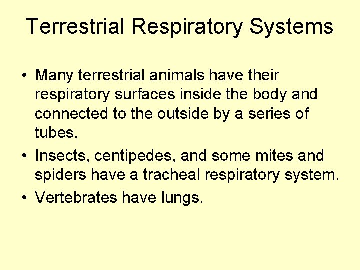 Terrestrial Respiratory Systems • Many terrestrial animals have their respiratory surfaces inside the body