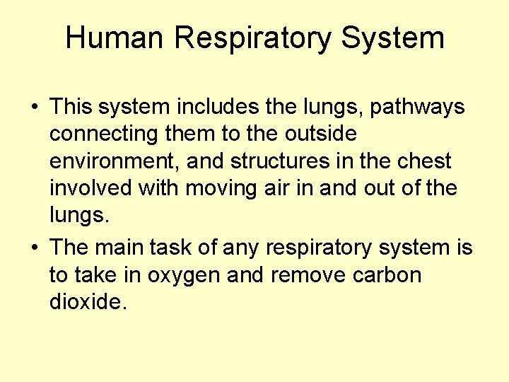 Human Respiratory System • This system includes the lungs, pathways connecting them to the