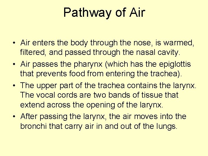 Pathway of Air • Air enters the body through the nose, is warmed, filtered,