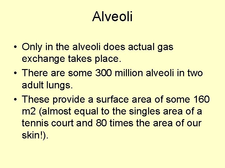 Alveoli • Only in the alveoli does actual gas exchange takes place. • There