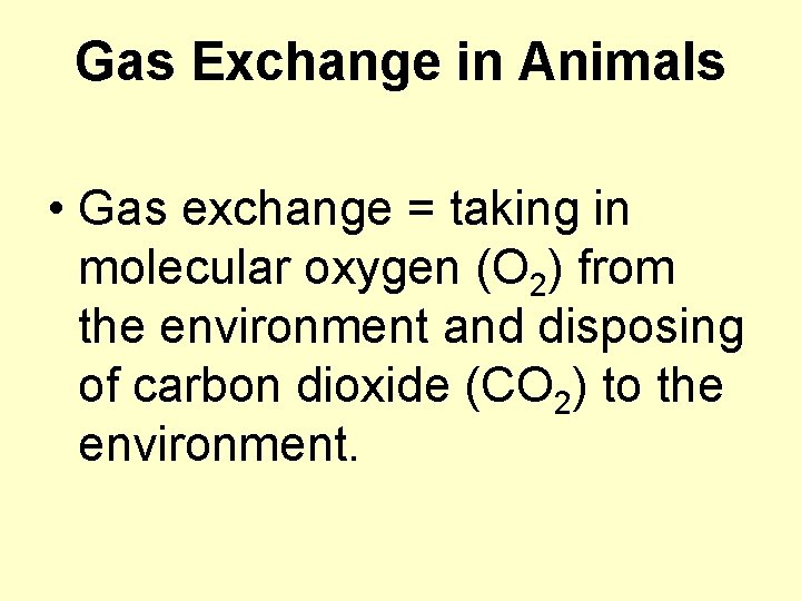 Gas Exchange in Animals • Gas exchange = taking in molecular oxygen (O 2)