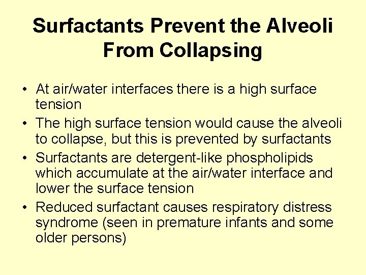 Surfactants Prevent the Alveoli From Collapsing • At air/water interfaces there is a high