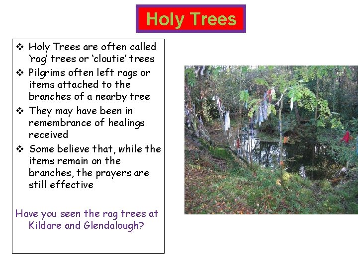 Holy Trees v Holy Trees are often called ‘rag’ trees or ‘cloutie’ trees v