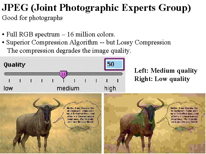 JPEG (Joint Photographic Experts Group) Good for photographs • Full RGB spectrum – 16