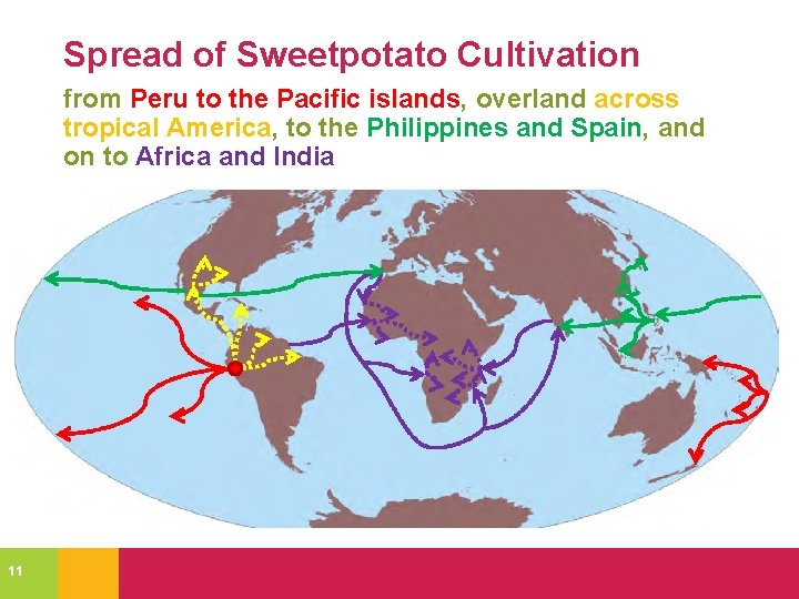 Spread of Sweetpotato Cultivation from Peru to the Pacific islands, overland across tropical America,