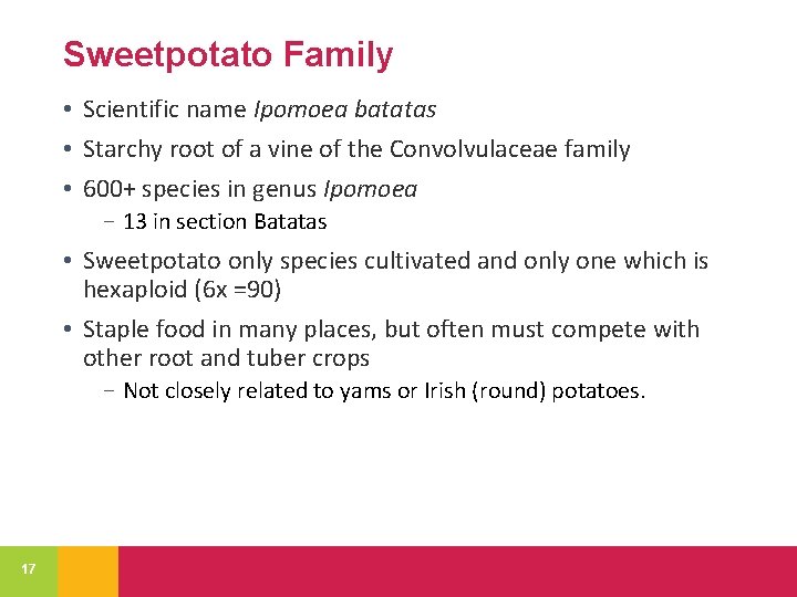 Sweetpotato Family • Scientific name Ipomoea batatas • Starchy root of a vine of