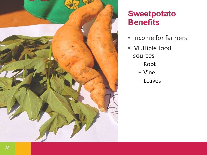 Sweetpotato Benefits • Income for farmers • Multiple food sources − Root − Vine