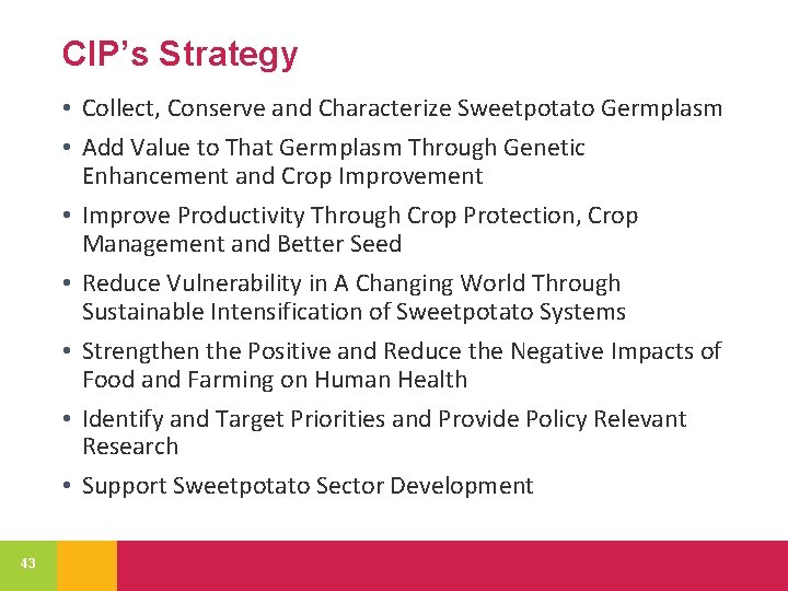 CIP’s Strategy • Collect, Conserve and Characterize Sweetpotato Germplasm • Add Value to That