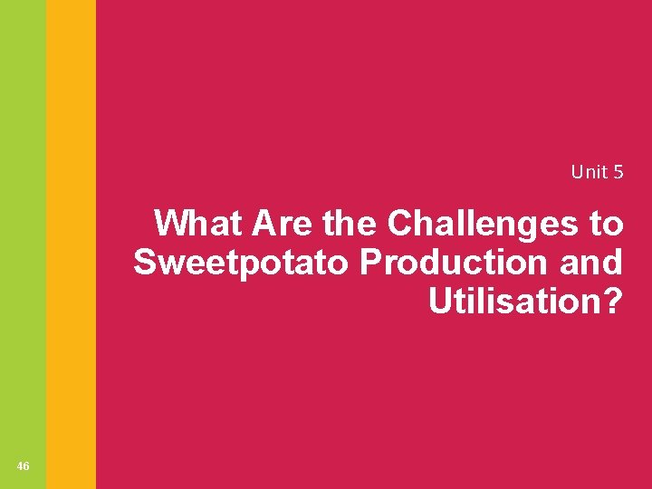 Unit 5 What Are the Challenges to Sweetpotato Production and Utilisation? 46 