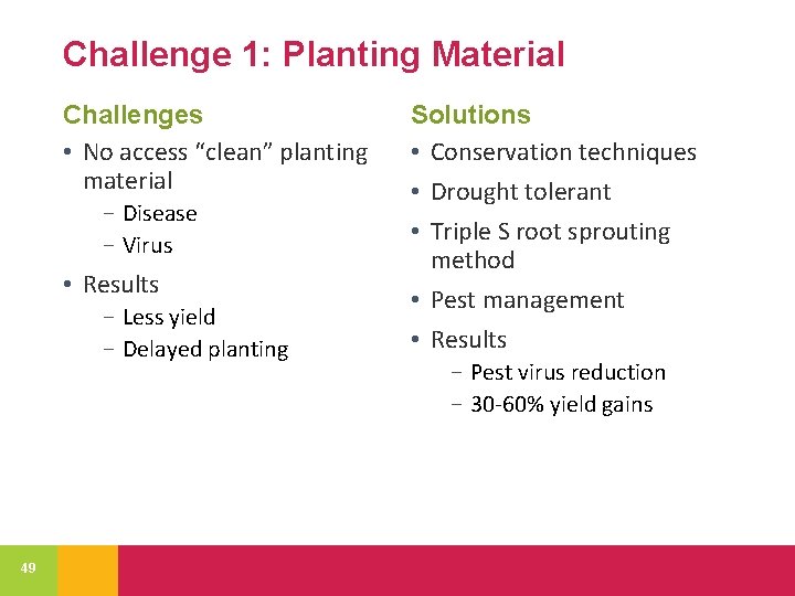 Challenge 1: Planting Material Challenges • No access “clean” planting material − Disease −