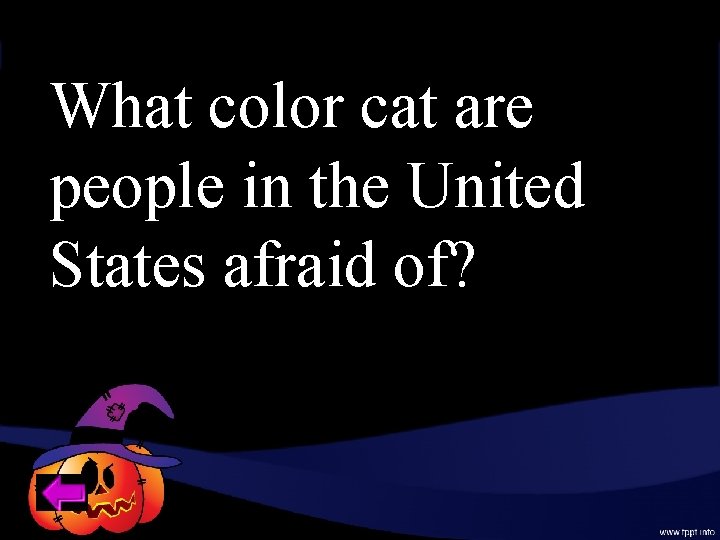 What color cat are people in the United States afraid of? 