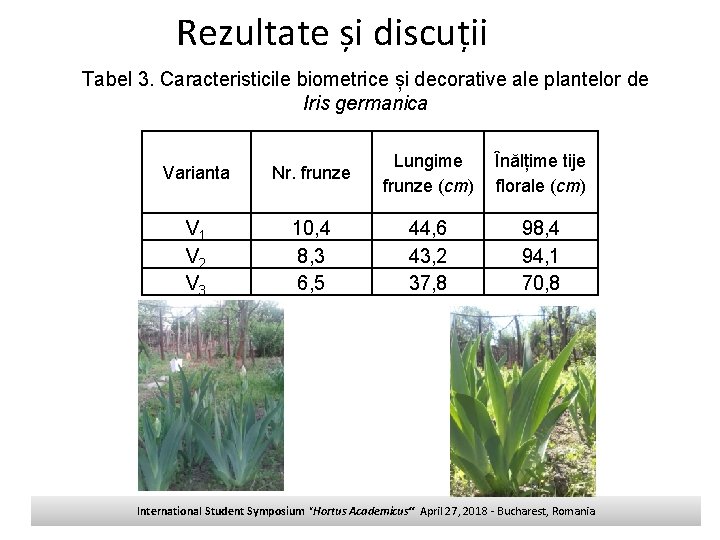 Rezultate și discuții Tabel 3. Caracteristicile biometrice și decorative ale plantelor de Iris germanica