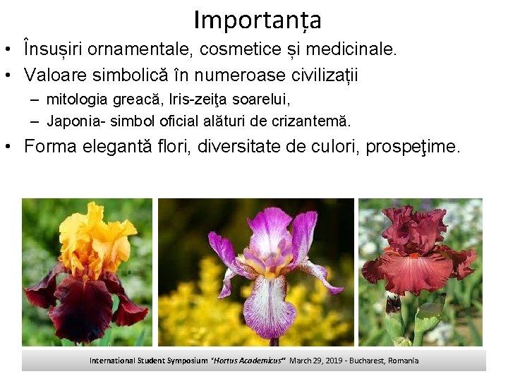 Importanța • Însușiri ornamentale, cosmetice și medicinale. • Valoare simbolică în numeroase civilizații –